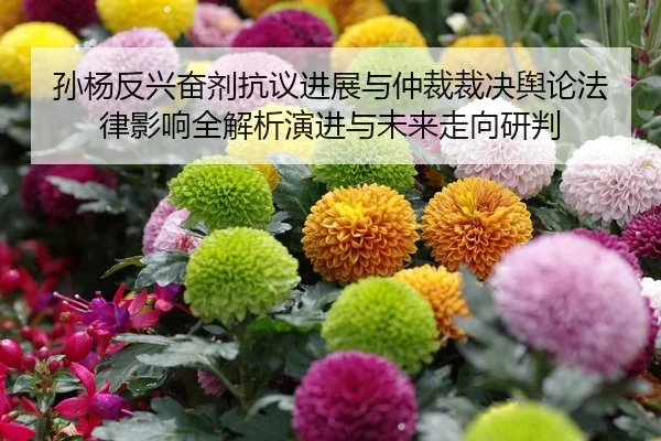 孙杨反兴奋剂抗议进展与仲裁裁决舆论法律影响全解析演进与未来走向研判