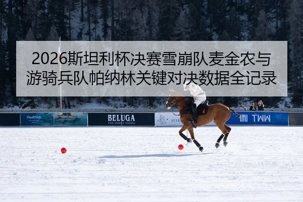 2026斯坦利杯决赛雪崩队麦金农与游骑兵队帕纳林关键对决数据全记录